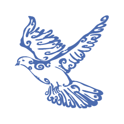 Falconiformes Animals Falconiformes Animals