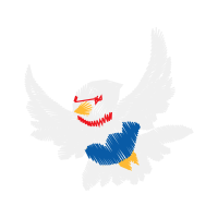 Falconiformes Animals Falconiformes Animals