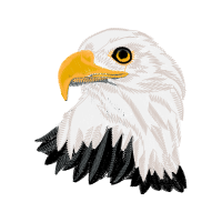 Falconiformes Animals Falconiformes Animals