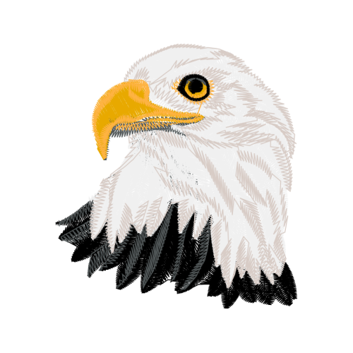 Falconiformes Animals Falconiformes Animals