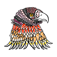 Falconiformes Animals Falconiformes Animals