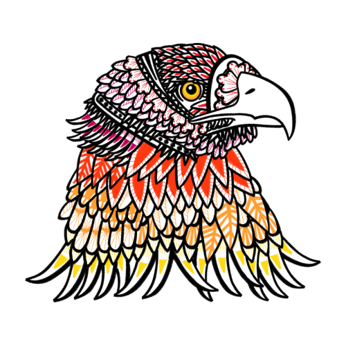 Falconiformes Animals Falconiformes Animals