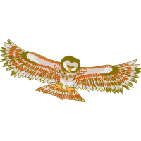 Falconiformes Animals Falconiformes Animals