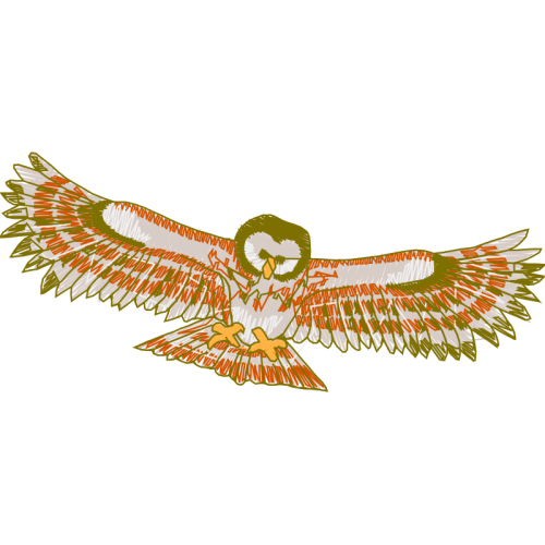 Falconiformes Animals Falconiformes Animals