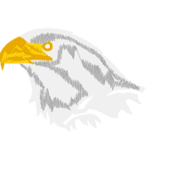 Falconiformes Animals Falconiformes Animals