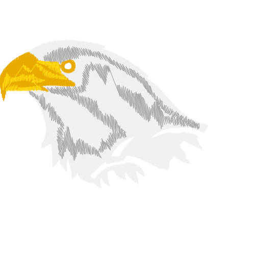 Falconiformes Animals Falconiformes Animals