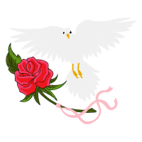 Falconiformes Animals Falconiformes Animals