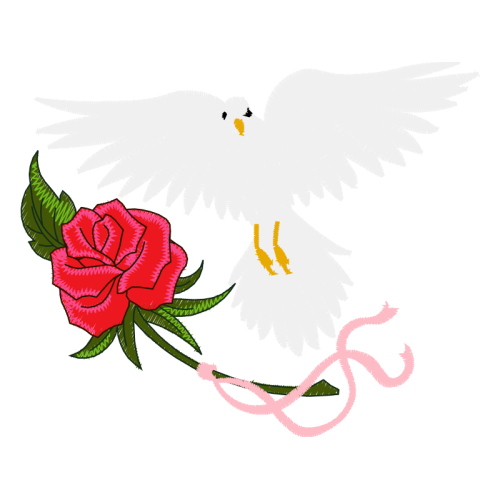 Falconiformes Animals Falconiformes Animals