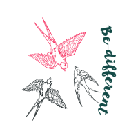 Falconiformes Animals Falconiformes Animals