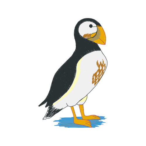 Falconiformes Animals Falconiformes Animals