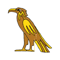 Falconiformes Animals Falconiformes Animals