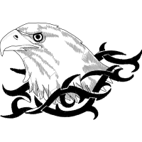 Falconiformes Animals Falconiformes Animals