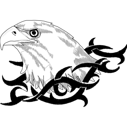 Falconiformes Animals Falconiformes Animals