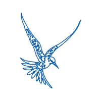 Falconiformes Animals Falconiformes Animals