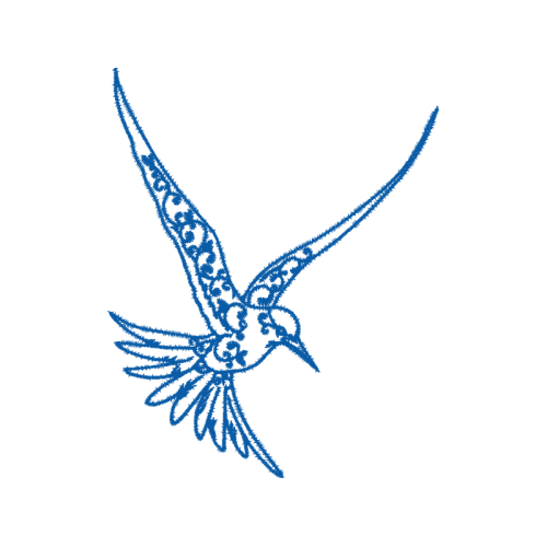 Falconiformes Animals Falconiformes Animals