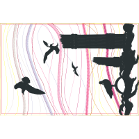 Falconiformes Animals Falconiformes Animals