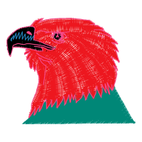 Falconiformes Animals Falconiformes Animals