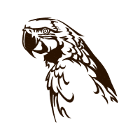 Falconiformes Animals Falconiformes Animals