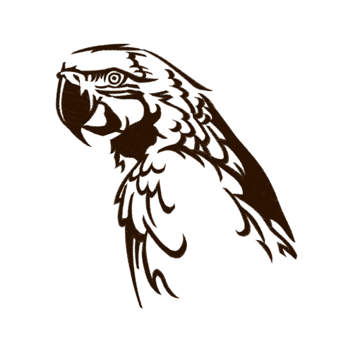 Falconiformes Animals Falconiformes Animals