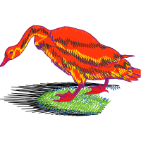 Falconiformes Animals Falconiformes Animals