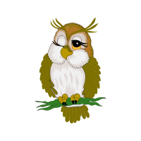 Falconiformes Animals Falconiformes Animals