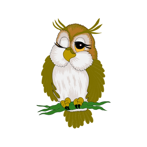 Falconiformes Animals Falconiformes Animals