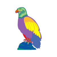 Falconiformes Animals Falconiformes Animals