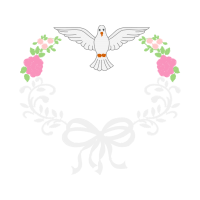 Falconiformes Animals Falconiformes Animals