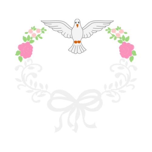 Falconiformes Animals Falconiformes Animals