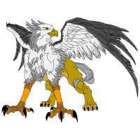 Falconiformes Animals Falconiformes Animals