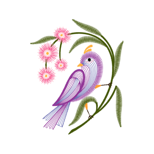 Feather Animals Feather Animals