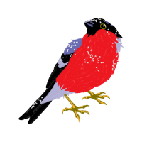 Finches Animals Finches Animals