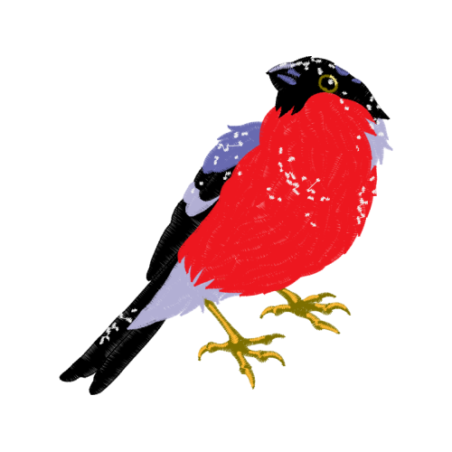 Finches Animals Finches Animals