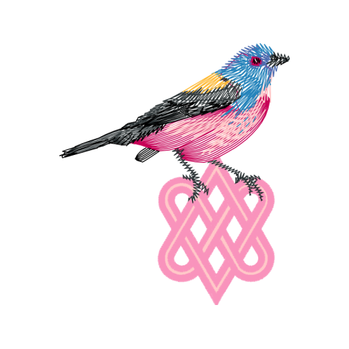 Finches Animals Finches Animals