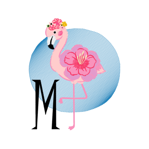 Flamingos Animals Flamingos Animals