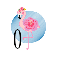 Flamingos Animals