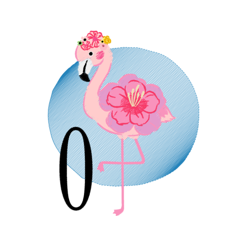 Flamingos Animals Flamingos Animals