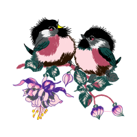 Flower Animals Flower Animals