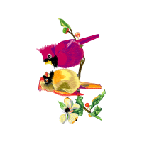 Flower Animals Flower Animals