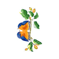 Flower Animals Flower Animals