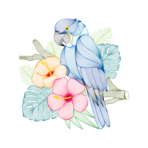 Flower Animals Flower Animals