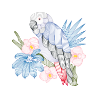 Flower Animals Flower Animals