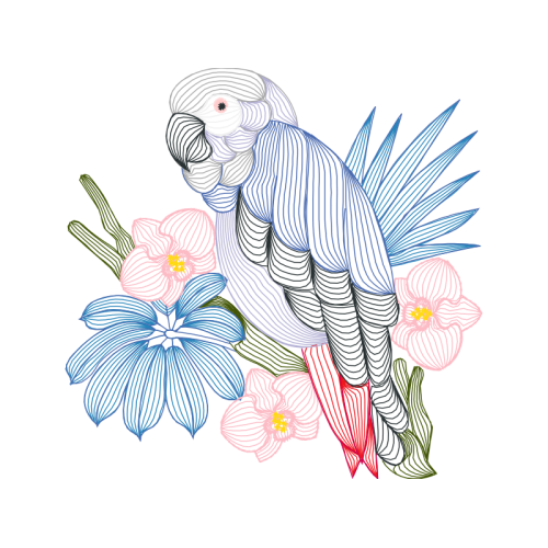 Flower Animals Flower Animals