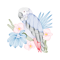 Flower Animals Flower Animals