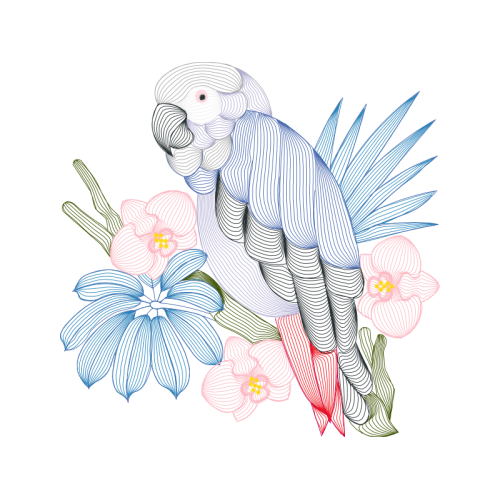 Flower Animals Flower Animals