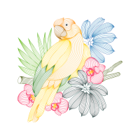 Flower Animals Flower Animals