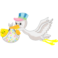 Fowl Animals Fowl Animals