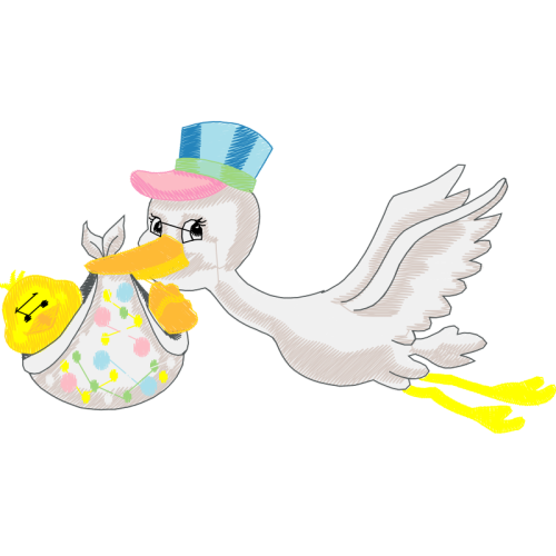 Fowl Animals Fowl Animals