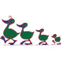 Fowl Animals Fowl Animals