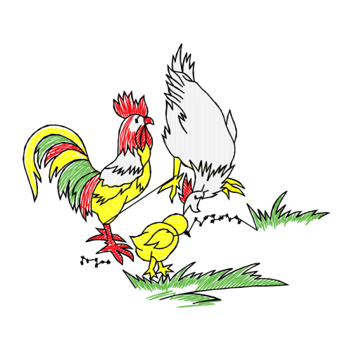 Fowl Animals Fowl Animals